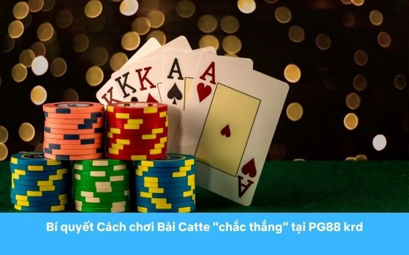 Luật chơi Catte cơ bản