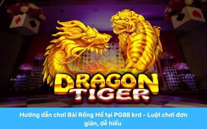 Giới thiệu về Bài Rồng Hổ