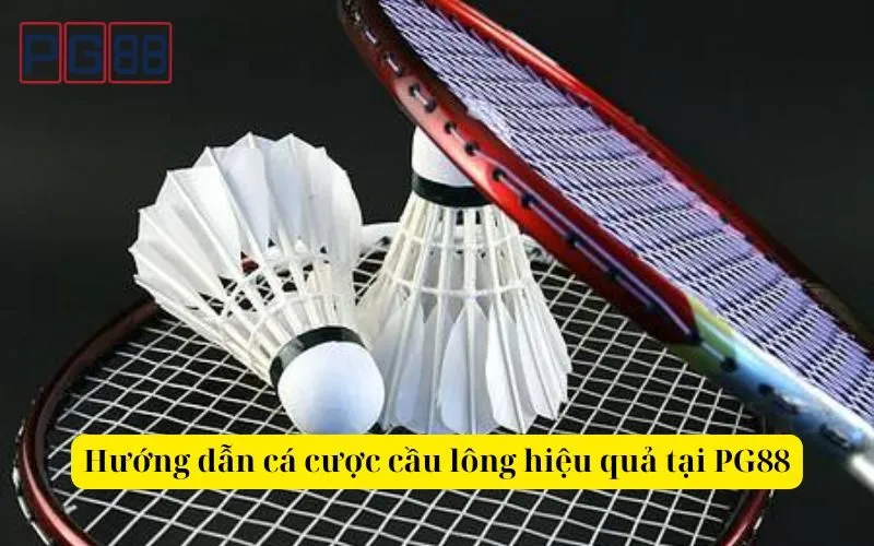 Hướng dẫn cá cược cầu lông hiệu quả tại PG88