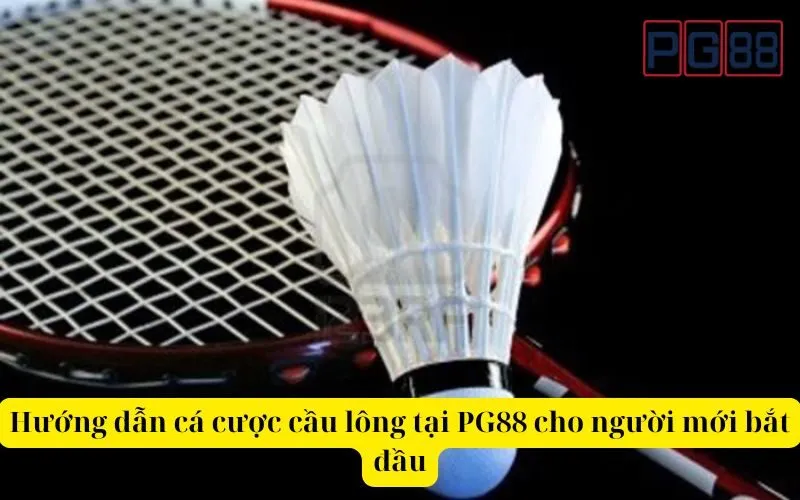 Hướng dẫn cá cược cầu lông tại PG88 cho người mới bắt đầu