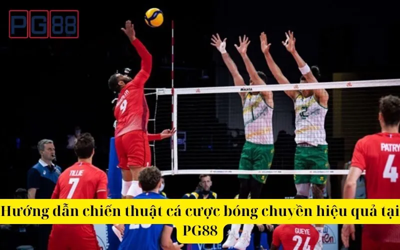 Hướng dẫn chiến thuật cá cược bóng chuyền hiệu quả tại PG88