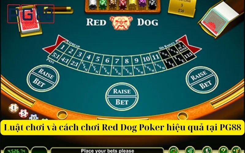 Luật chơi và cách chơi Red Dog Poker hiệu quả PG88