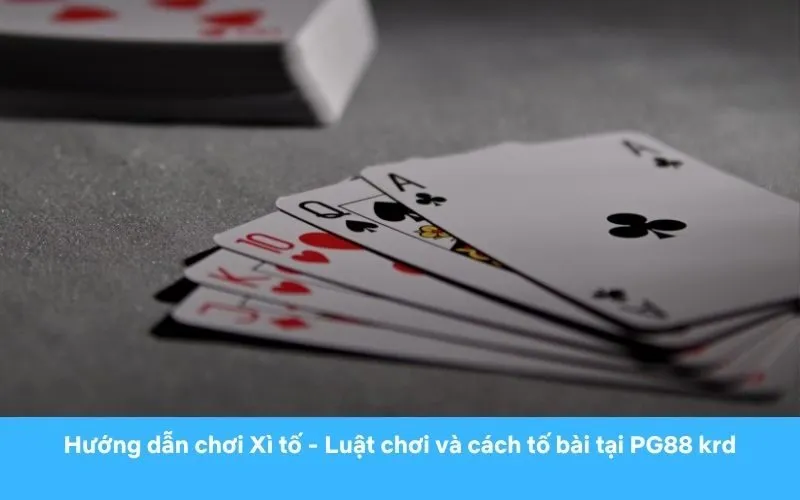 Mẹo chơi Xì tố từ chuyên gia