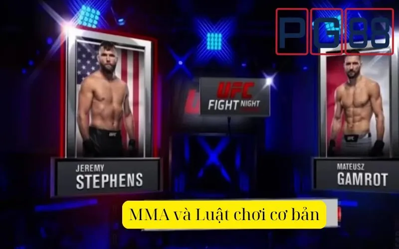 MMA và Luật chơi cơ bản