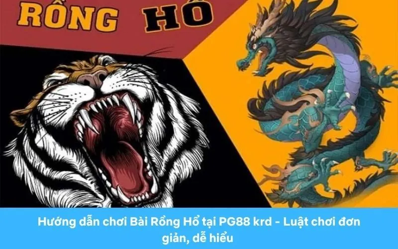 Nâng cao kỹ năng chơi Rồng Hổ