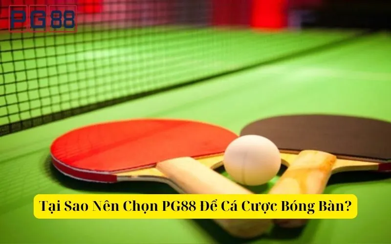 Tại Sao Nên Chọn PG88 Để Cá Cược Bóng Bàn